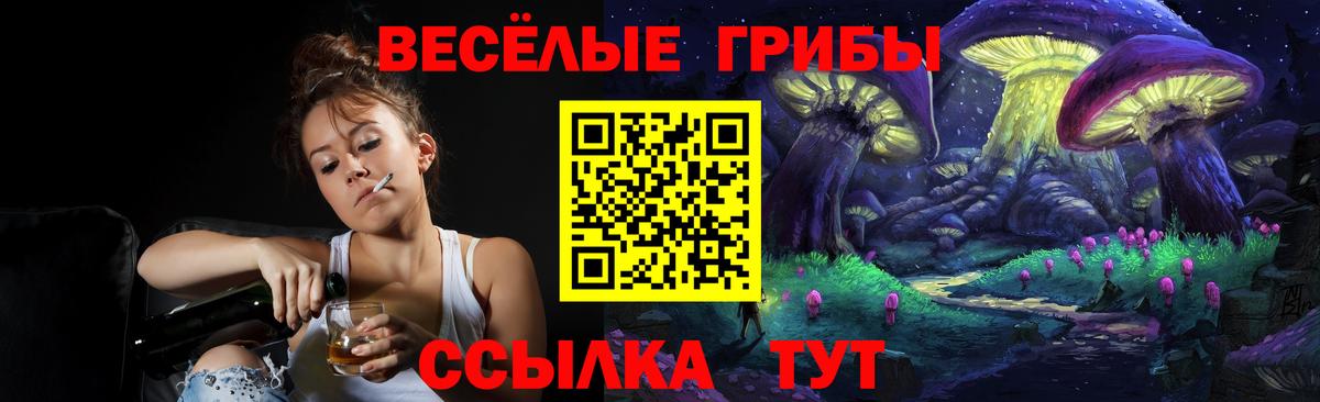 Волжский  Псилоцибиновые грибы ЛСД  Вход с VPN 